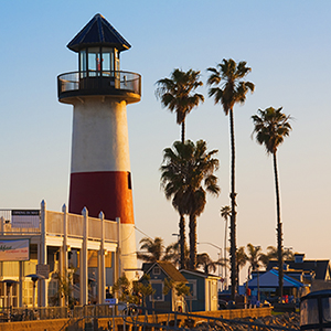 Top 5 Things to do Around Oceanside Harbor