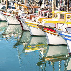 Get Creative! Decorate Your Own Dinghy for 4th of July in Oceanside!