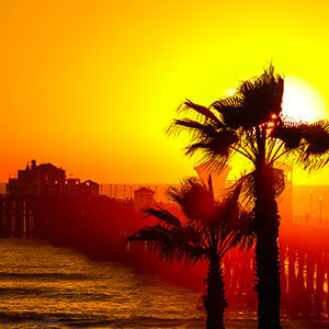 Sunset at Oceanside Pier palm trees