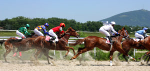 Horse racing 
