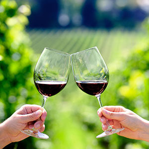 two hands toasting with glasses of red wine at vineyard