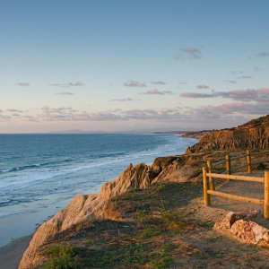 trail overlooking the ocean in La Jolla