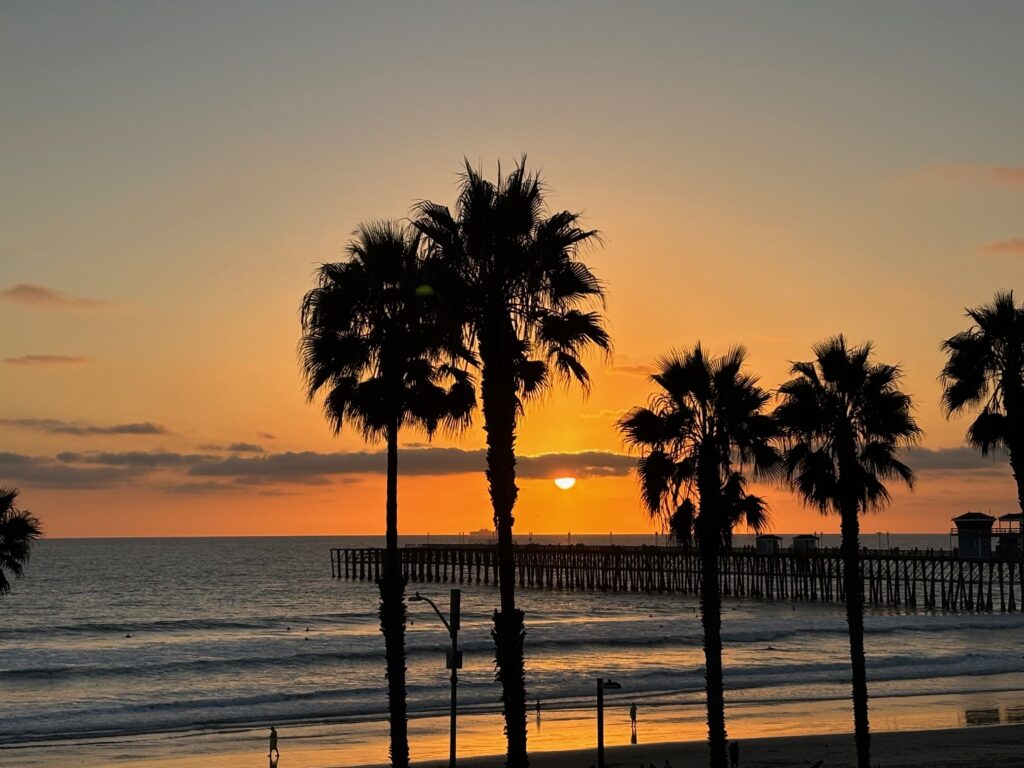 palm trees, ocean and the pier during sunset