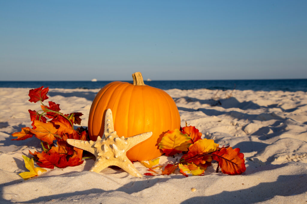pumpkin and fall leaves on the beach