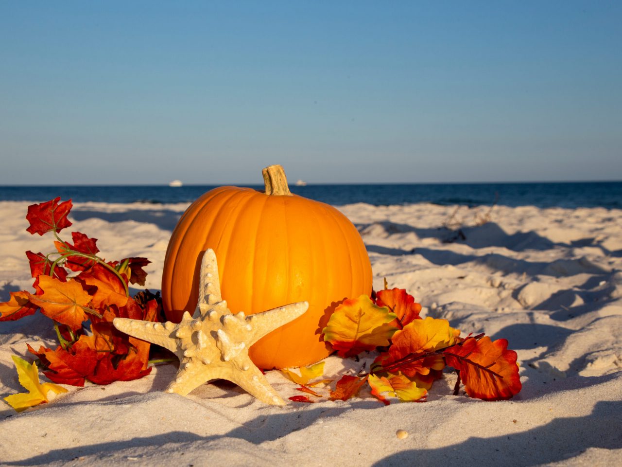 pumpkin and fall leaves on the beach